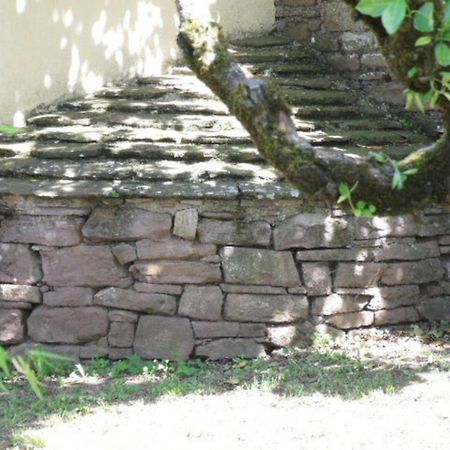 Gite L'Oustal Occitan A Saint-Juery Villa Eksteriør billede