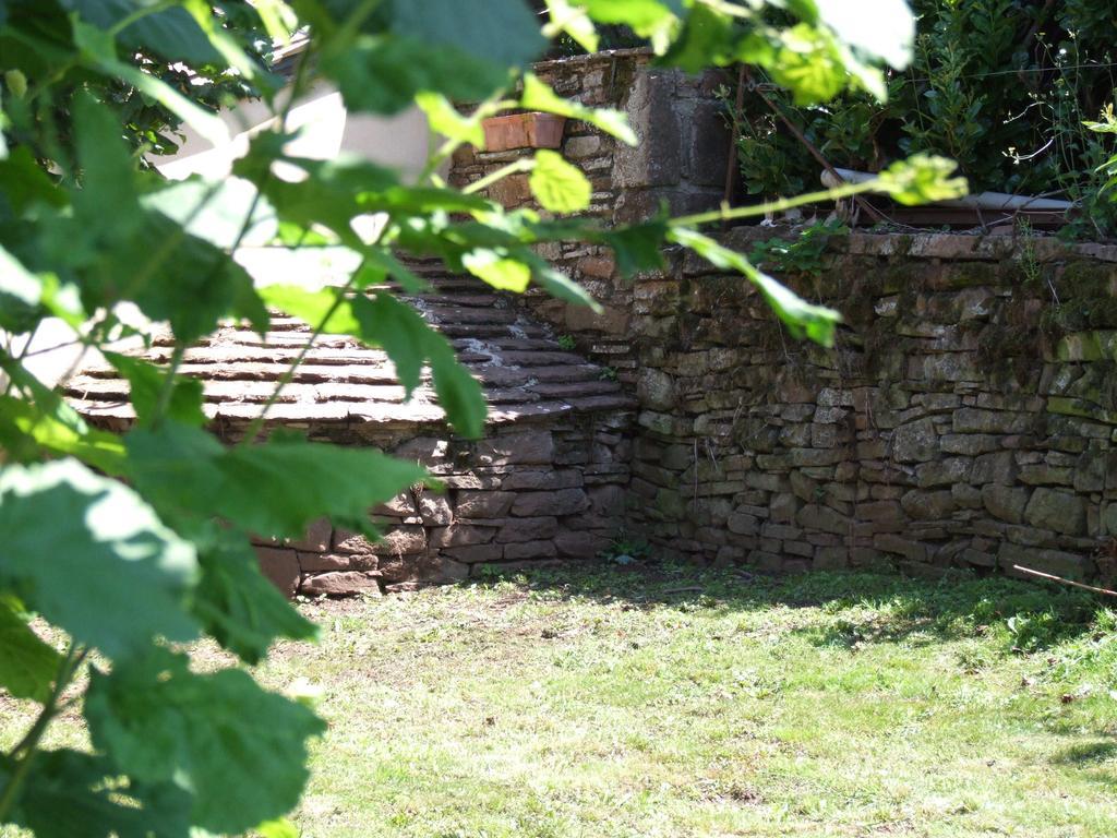 Gite L'Oustal Occitan A Saint-Juery Villa Værelse billede