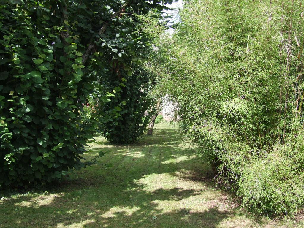 Gite L'Oustal Occitan A Saint-Juery Villa Værelse billede